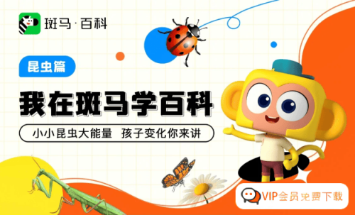 斑马百科“昆虫”主题动画视频资源12集全百度网盘下载,开启昆虫认知的大门-校汇学习课堂